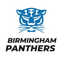 birmingham_panthers_netball_logo (1)